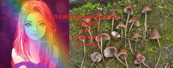 дживик Абинск