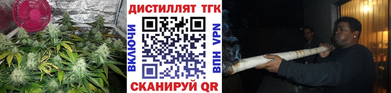 где продают   кракен ONION  Дистиллят ТГК вейп с тгк  Ачхой-Мартан 