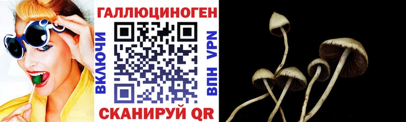 Галлюциногенные грибы MAGIC MUSHROOMS гидра маркетплейс Ачхой-Мартан